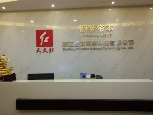 浙江順文網絡科技 網絡技術的創新者與實踐者